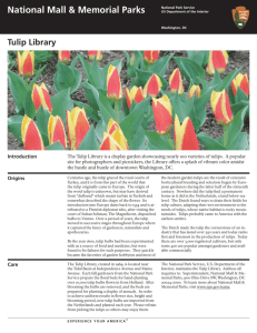Tulip Library - Washington Gardener Magazine