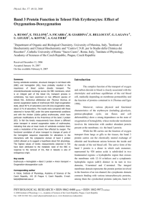 Full text (PDF file) - Complex of Biomedical Institutes at Krc Prague