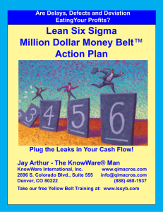 Lean Six Sigma Million Dollar Money Belt™ Action Plan