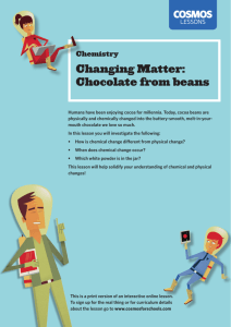 Changing Matter: Chocolate from beans
