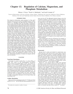 Chapter 13. Regulation of Calcium, Magnesium, and Phosphate