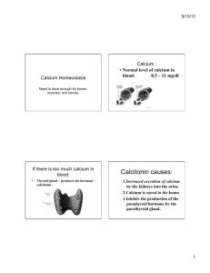 Calcium homeostasis