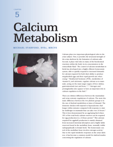 Calcium - Avian Medicine