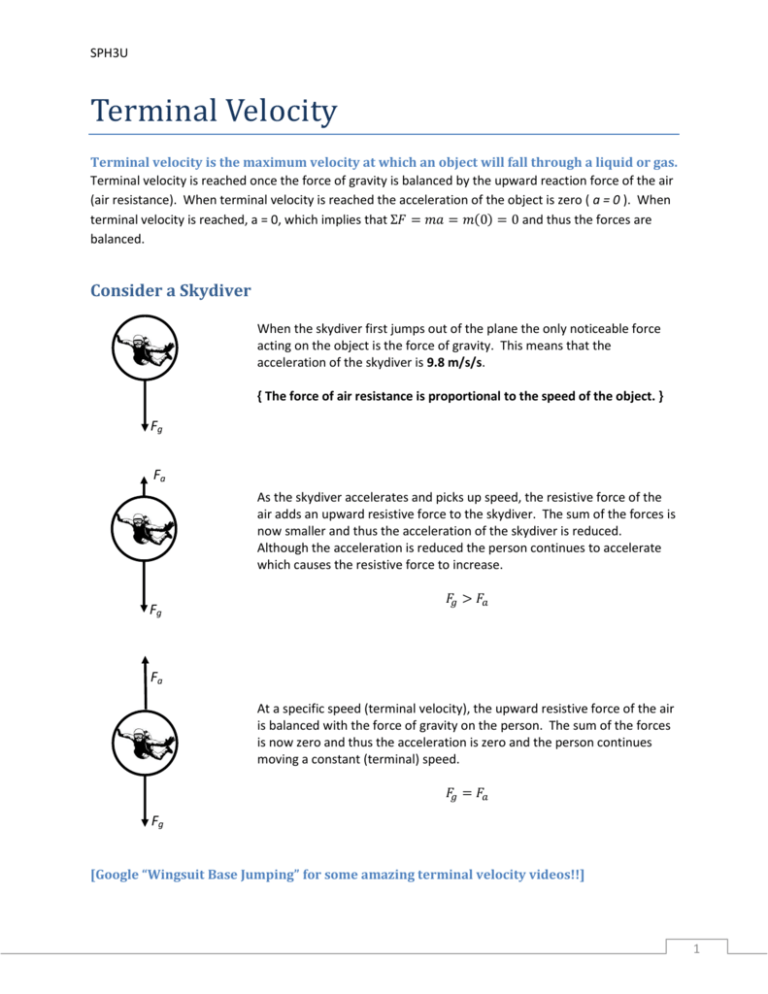 terminal-velocity-hand-out