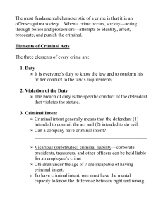 Chapter 4 Notes: Criminal Law and Procedure