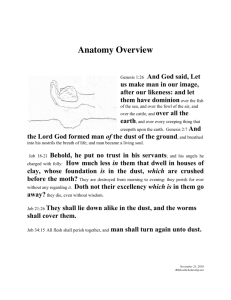 Anatomy Overview Booklet