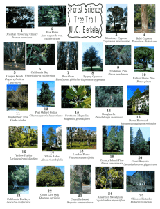 Forest Science Tree Trail U.C. Berkeley