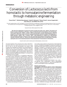 Conversion of Lactococcus lactis from homolactic to homoalanine