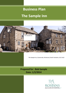 Business Plan The Sample Inn
