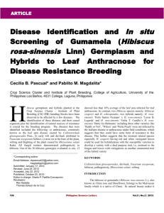 Disease Identification and In situ Screening of Gumamela (Hibiscus