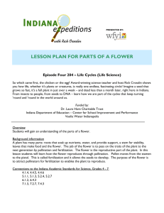 lesson plan for parts of a flower