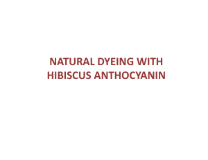 Anthocyanin dyeing –Hibiscus
