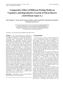 Comparative Effect of Different Potting Media on Vegetative and