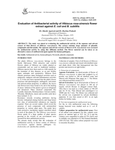 Evaluation of Antibacterial activity of Hibiscus rosa