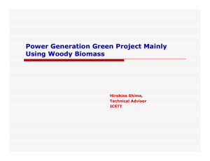 Power Generation Green Project Mainly Using Woody Biomass