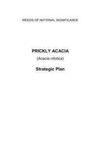 PRICKLY ACACIA Strategic Plan - Department of Land Resource