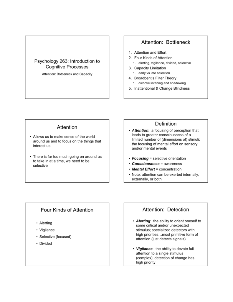 selective perception definition ap gov