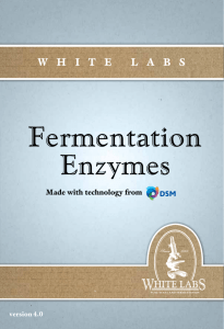 Fermentation Enzymes