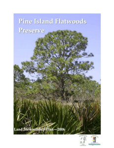 Pine Island Flatwoods Preserve