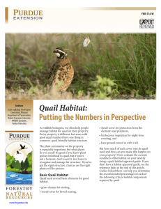 Quail Habitat: Putting the Numbers in Perspective