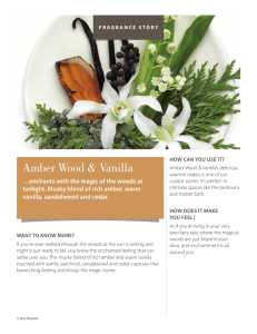 Amber Wood & Vanilla