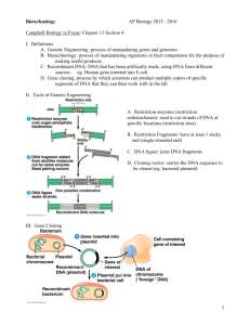 1 Biotechnology AP Biology 2015 - 2016 Campbell Biology in Focus