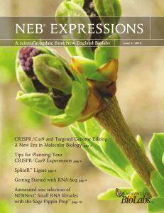 neb® expressions - New England Biolabs