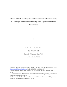 Influence of Mixed Liquor Properties and Aeration Intensity on