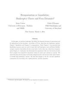 Reorganization or Liquidation: Bankruptcy Choice and Firm Dynamics