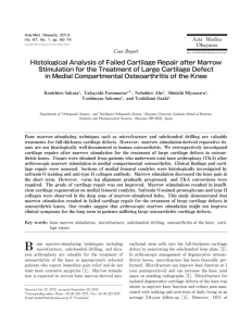 Histological Analysis of Failed Cartilage Repair after Marrow