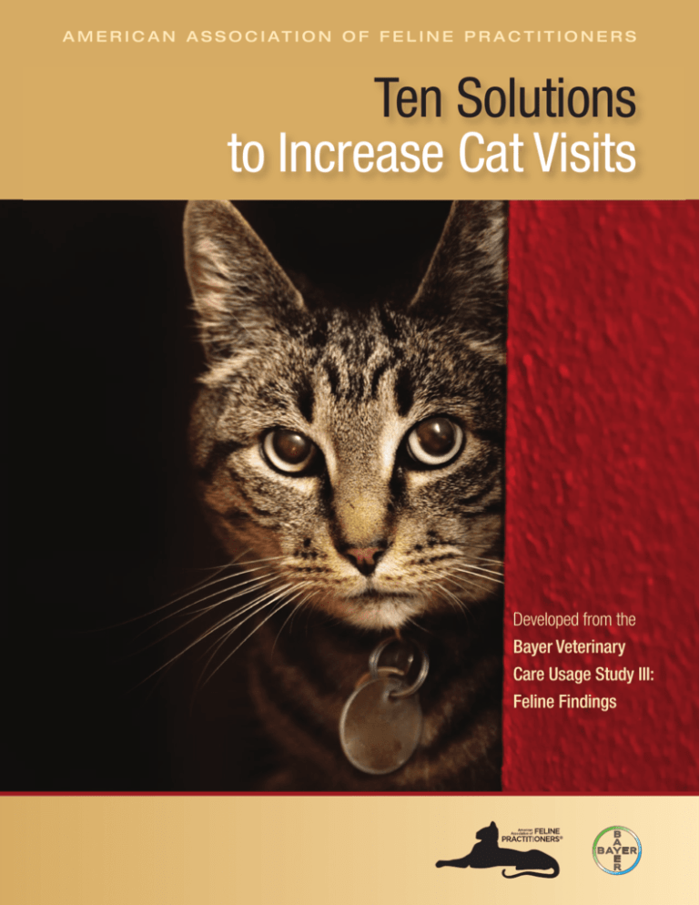 ten-solutions-to-increase-cat-visits