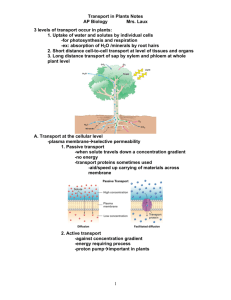 Transport in Plants Notes AP Biology Mrs. Laux 1 3 levels of