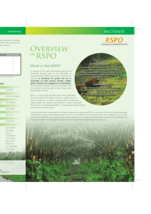 Overview of RSPO - Roundtable on Sustainable Palm Oil