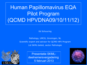 Human Papillomavirus EQA Pilot Program (QCMD