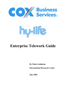 Enterprise Telework Guide - International Research Center