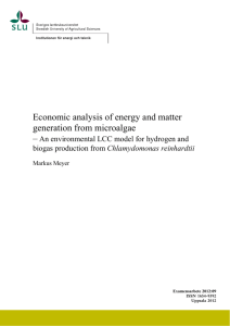 Economic analysis of energy and matter generation from microalgae