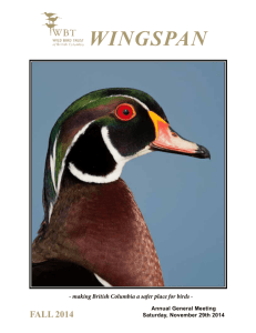 wingspan - WBT Wild Bird Trust of British Columbia