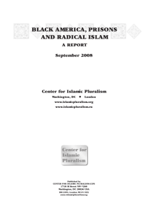 black america, prisons and radical islam