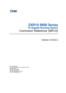 ZXR10 8900 Series 10 Gigabit Routing Switch