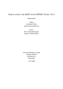Simulating the BGP with OPNET Guru 10.5