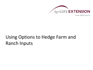 Advantages of Hedging Inputs with Call Options