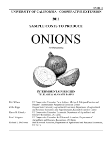 Sample Costs to Produce Onions for