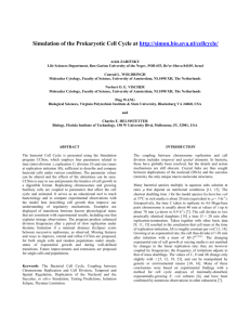 Simulation of the Prokaryotic Cell Cycle at http://simon.bio.uva.nl