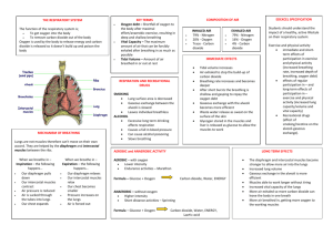 Respiratory System Revision Sheet and Mat