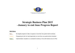 Strategic Business Plan 2015 –January to end June Progress Report