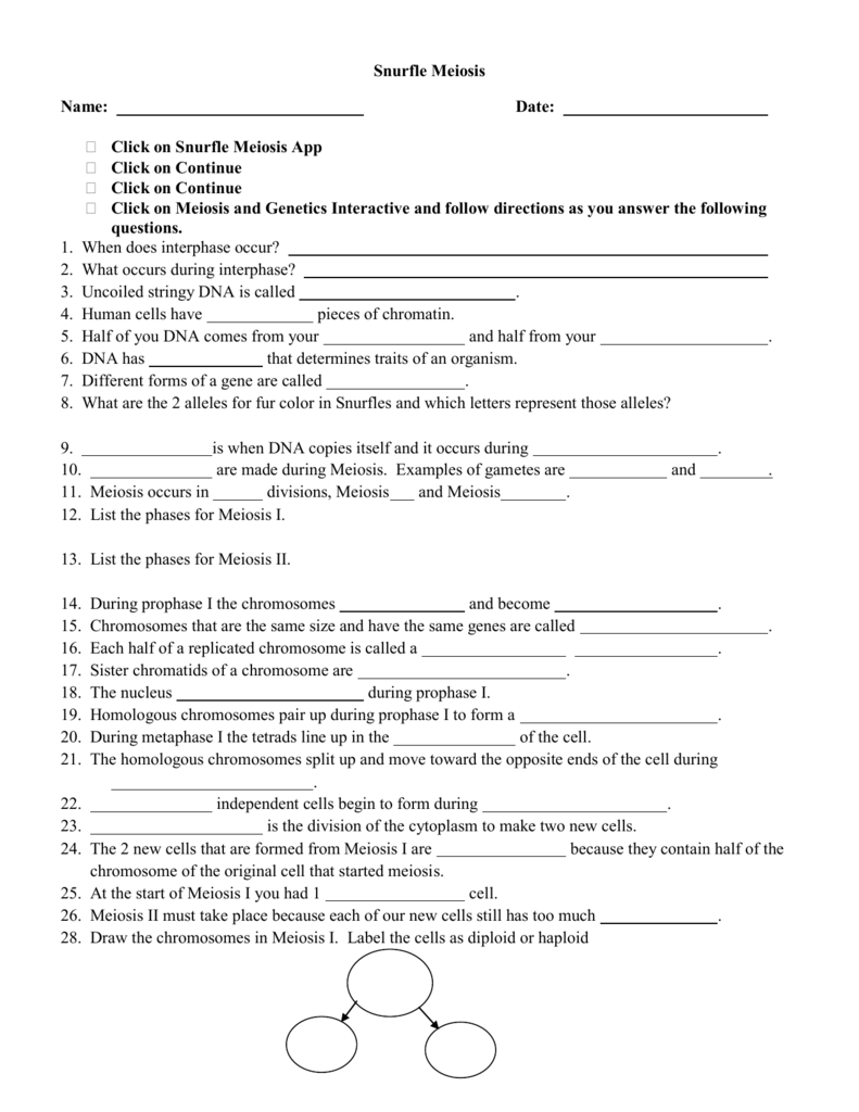 Snurfle Worksheet