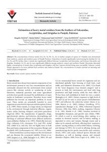 Estimation of heavy metal residues from the feathers of Falconidae