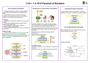 Pyramid of Numbers Poster