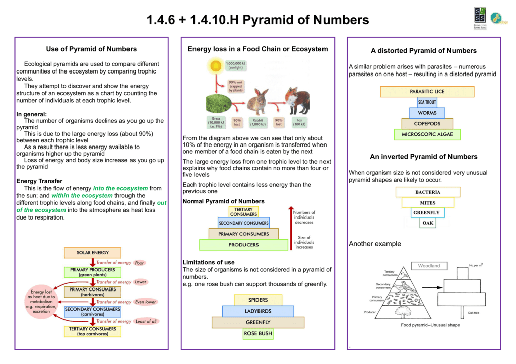 Pyramid Of Numbers Poster