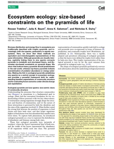 Ecosystem ecology: size-based constraints on the pyramids of life